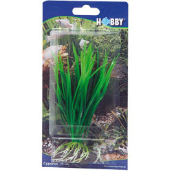 Hobby Cyperus 16cm