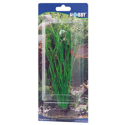 Hobby Sagittaria 20cm