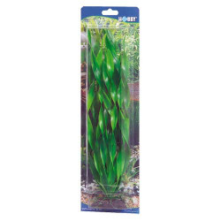 Hobby Vallisneria 20cm