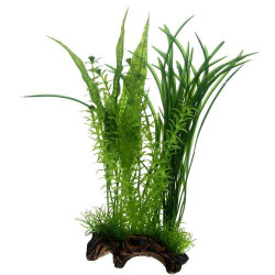 Hobby Flora Root 1 L 30cm