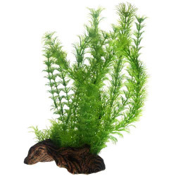 Hobby Flora Root 3 L 30cm