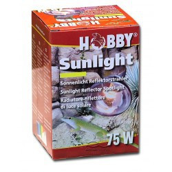 Hobby - Sunlight - 75 watt