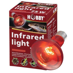 Hobby Infrared Light 50W