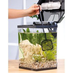 Epuisette pour Aquarium