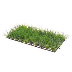 Hobby Plant Mat 1