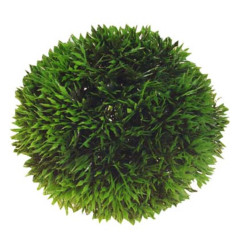 Hobby Plant Ball 13cm