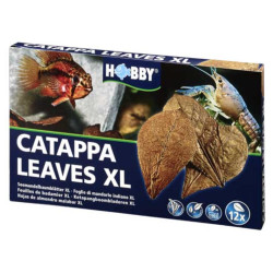 Hobby Catappa Leaves XL