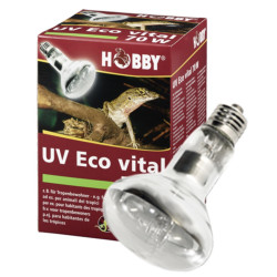 Hobby UV Eco vital 70W