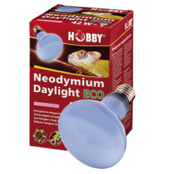Hobby Neodymium Daylight...