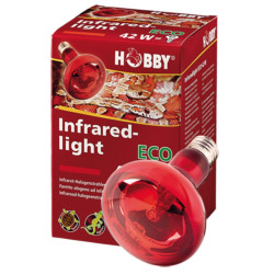 Hobby Infraredlight ECO 42W