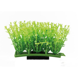 Hobby Plant Pad 1