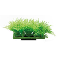 Hobby Plant Pad 2