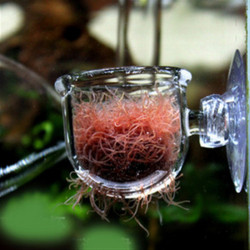 VIV Red worm Feeder