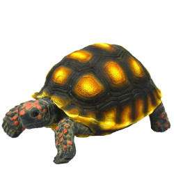 Hobby Turtle 1