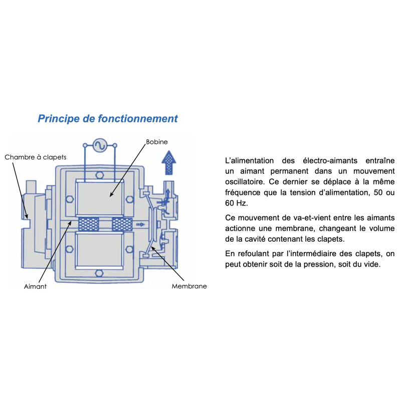 Líalimentation des électro-aimants entraÓne un aimant permanent dans un mouvement oscillatoire. Ce dernier se déplace à la même fréquence que la tension díalimentation, 50 ou 60 Hz. Ce mouvement de va-et-vient entre les aimants actionne une membrane, changeant le volume de la cavité contenant les clapets. En refoulant par líintermédiaire des clapets, on peut obtenir soit de la pression, soit du vide.