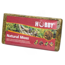 Hobby Natural Moss