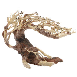 Dupla Bonsai Crooked Root S...