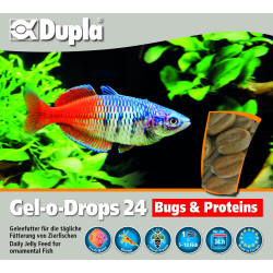 Dupla Gel-o-Drops 24 Bugs &...