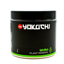 YOKUCHI Ishiko Plant...