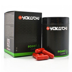 YOKUCHI Sosei Caps 80 pcs -...