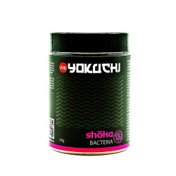YOKUCHI SHOKA bactéries 40...